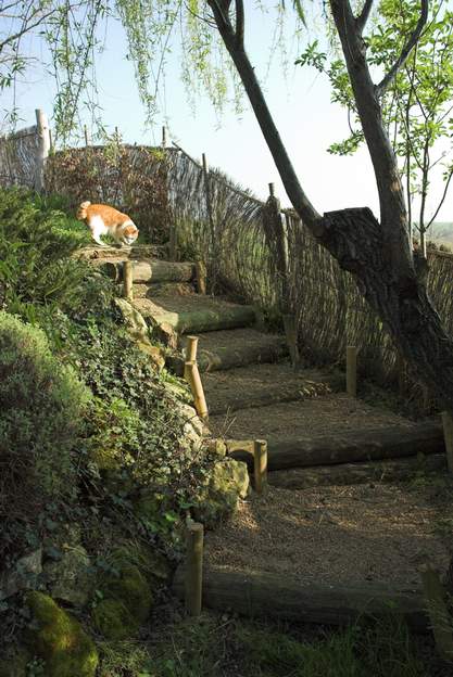 escalier 3 Il y avait là une pente très difficile à escalader, ce chemin la remplace et en fait un coin très agréable, il démarre juste sous le saule, et longe la rocaille...