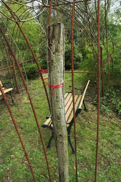 Pergola rose 1 La technique la plus solide pour les rosiers lourds, par exemple un banks : 4 fer à béton en carré, qui se croisent aux angles et sont renforcés par un piquet.