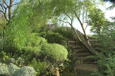 Taille des arbres et arbustes : Topiaire Soit pour faire des formes amusantes (animaux) soit pour renforcer la structure du jardin et donner des points d'appuie...