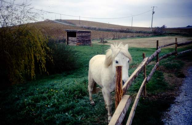 Olympie en 1991