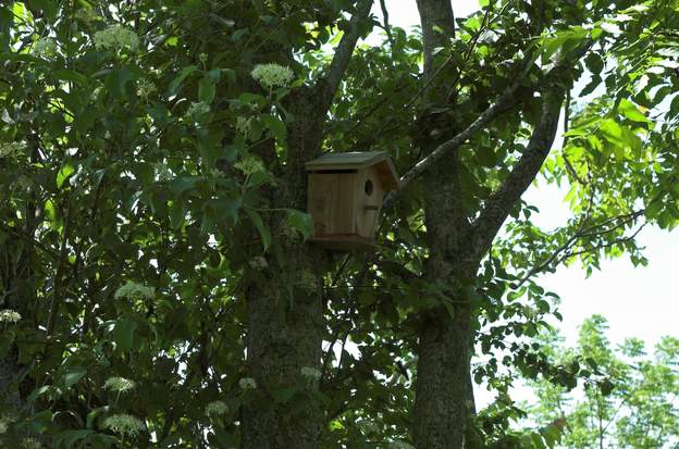 Les abris du jardin