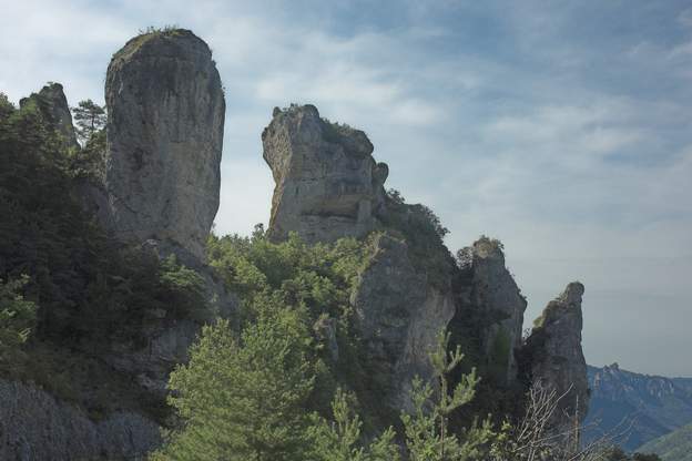 Rocks All those rocks are from the big wall that suddenly drops down from the Causse to the Tarn valley.