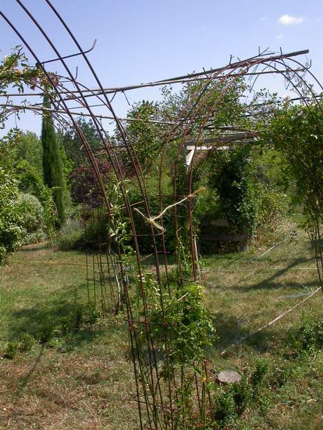 fer a beton 02 Pour les rosiers lianes particulièrement lourds, le montage est compliqué : A chaque pied de rosier on a trois fers qui se croisent et se mêlent renforçant...