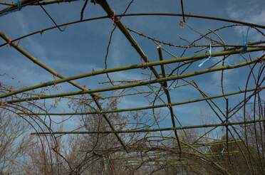 une allée / pergola de rosiers grimpants. Nous n'aimons pas les pergolas en fer ou en plastique, trop fragiles ou trop onéreuses. Nous allons donc construire...