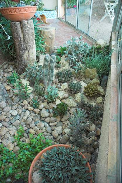 pleine terre 2007 09 1 L'année suivante, il commence à évoluer. Une partie est trop creuse, elle attire l'humidité et la plante qui sy trouve en mourra avant qu'on ne comprenne le...