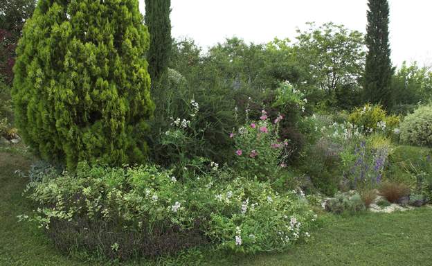 centre les fleurs de la rocaille centrale ne sont pas taillées, afin qu'elles envahissent librement les buissons qui en forment l'ossature. C'est cet ensemble qui...