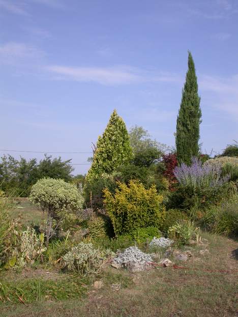 juillet L'herbe est toute sèche, heureusement nous avons la structure générale des arbres et arbustes, et le soutien des plantes que ni le soleil ni la sécheresse...