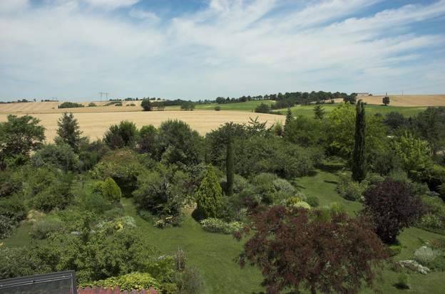 vert Cette photo de juillet 2006 est assez extraordinaire : comme le printemps a été, et ce depuis jancier en fait, for nuageux et même bien arrosé, on a un jardin...