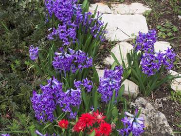 La couleur bleue