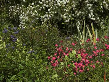 Toutes les couleurs du printemps