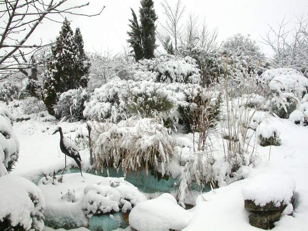 2006 janvier 1 En fait il neige au moins tous les deux ou trois ans, mais ça ne dure pas.