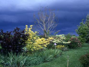 Avant ou après les orages.