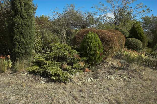 2011 10 Il n'a pas fait très chaud cet été, mais il n'a pas plu non plus : 80 mm en 70 jours, et ça continue pour l'instant. L'herbe est sèche, les plants souffrent...