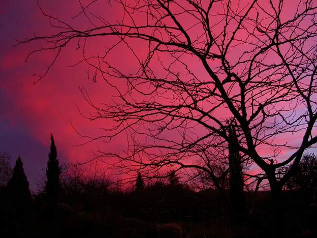 aube d'automne Aucun trucage, ce sont vraiment les couleurs matinales telles qu'on a pu les voir.