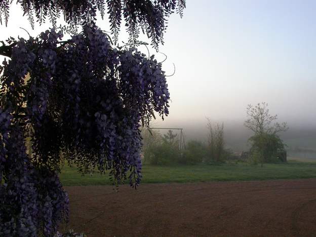 glycine