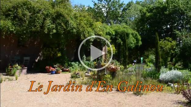 Mois de mai 2013, montage Une présentation du jardin en mai. Cette année là, il a plu tout le temps depuis janvier, il fait moins de 15 degrés alors qu'on est déjà le 20 mai. On n'avait...