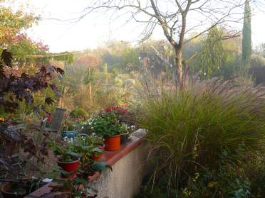 Martine photographie le jardin.