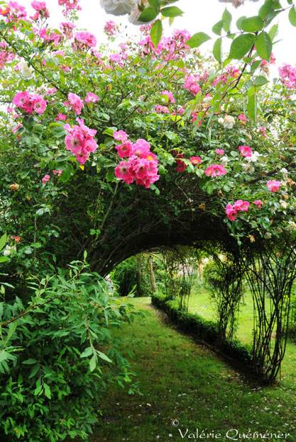 VQ09 Le passage sous les roses