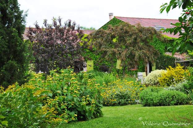 VQ13 Derrière les plantes la maison