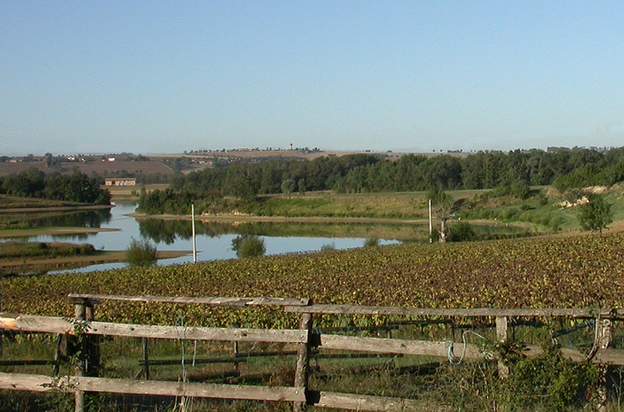 2006 08 (4)
