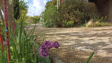 Anne Une petite série de photos du jardin vu par Anne, la compagne de Coline. J'aime bien, c'est différent de ce dont j'ai...