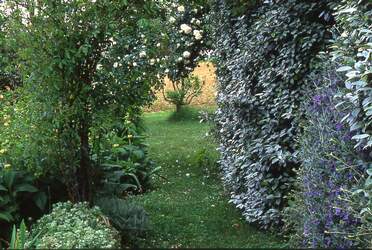 Virgine Klecka Virginie est une photographe pro qui est venu faire des photos pour le livre sur les jardins sans eau (chez Edisud, bien...