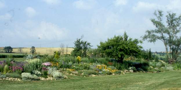 1991 07 Les premières années, c'est vraiment de la rocaille, basse, sans arbustes importants et pleine de fleurs. Vue d'ensemble, on voit encore tout le jardin d'un...