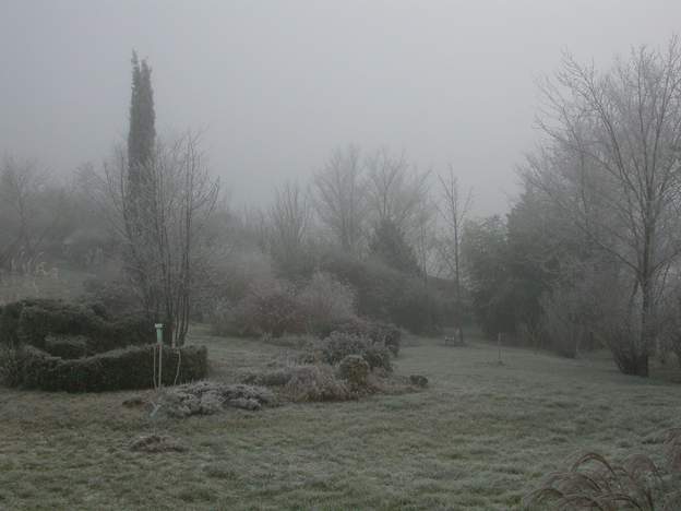2005 12 Décembre 2005, il fait en dessous de -5 depuis 5 jours, le brouillard givrant recouvre tout. Non, la photo n'est pas en noir et blanc, mais la brume est archi...