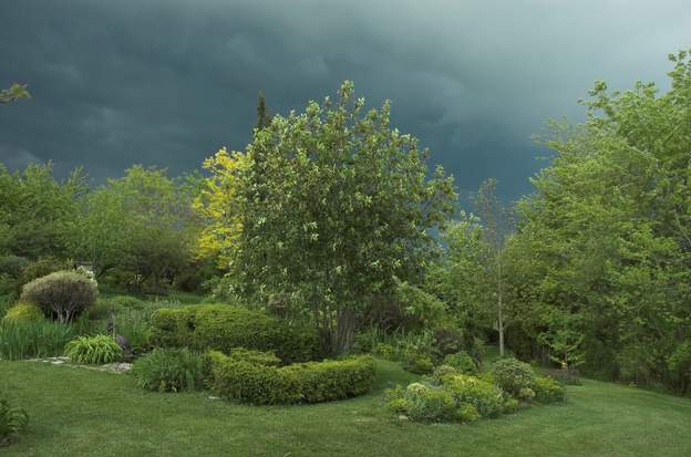 2011 04 L'orage arrive du nord, la lumière est encore plus belle