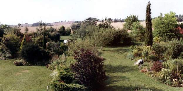 Chevaux en liberté en 2001. 15 ans après notre arrivée, on a planté tout l'arrière du terrain, ça commence à avoir une allure correcte. À droite c'est une ponette Shetland et pas une...