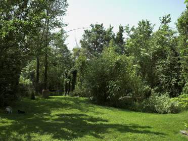 Jardin japonisant