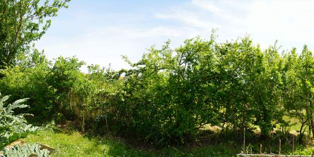 2014 04 24 On a descendu la haie à un peu mois de 2 mètres, sinon le jardin finirait par ne plus avoir de soleil du tout, or il s'agit de protéger un peu du vent, pas...