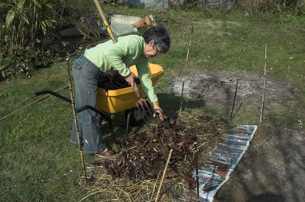 2011 02 (3) Puis Elle recouvre avec une troisième couche, composée de bon compost de feuilles.