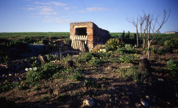 1989 05 On a laissé quelques pruniers, que l'on taille pour les raccourcir. En fait ils prennent toute l'eau aux plantes, et ne sont pas intéressants, donc pioche.