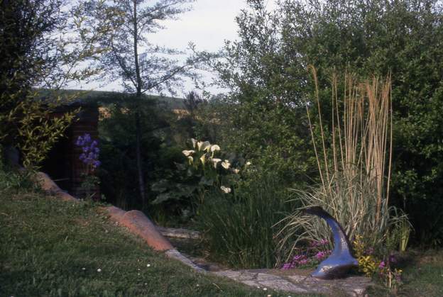 1998 05 à gauche un bambou noir, à droite un Aulne et un Saule qui commencent à prendre de l'ampleur.