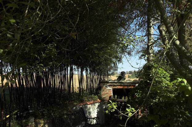 2008 10 une partie des bambous noir a été arrachée en septembre afin de favoriser la mise en valeur de la sculpture avec en fond un paysage volé.