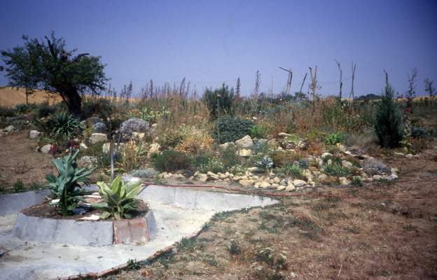 1989 07 Il fait si chaud pour bétonner ! Nous avons un bon exemple de la sécheresse du Lauragais : pas d'eau en juillet et août.