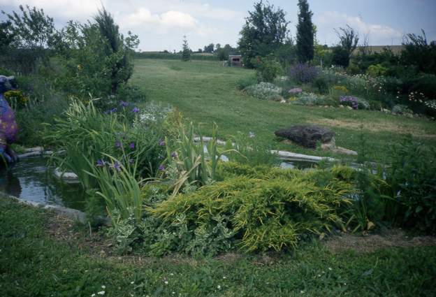 1993 05 On a planté un conifère, nous espérons qu'avec le bassin a côté il grandira sans difficulté. C'est ce qui va se passer, il deviendra le dragon en topiaire des...