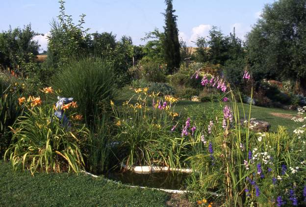 1995 07 Dierama pendula dite canne à pêche. 10 ans après elles est toujours là. Pas moyen de la reproduire. Disparu finalement, elle n'aime pas l'air sec.