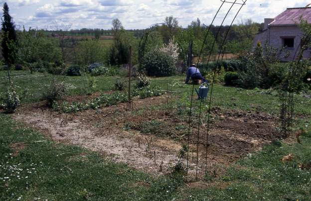 1996 05 Encore un essai de potager, ça ne va pas durer, trop de travail régulier, ce n'est pas notre style. On a déjà planté quelques rosiers grimpants, dont on voit...