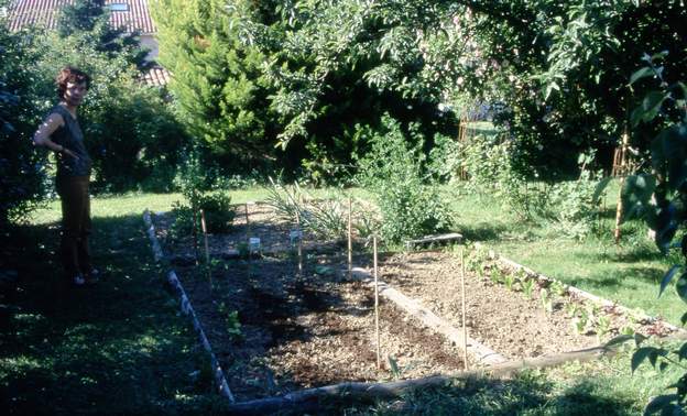 2002 06 Un nouvel essai de potager de Martine dans l'une des 4 parties centrales du carré. Pas d'eau à portée, c'est le problème.