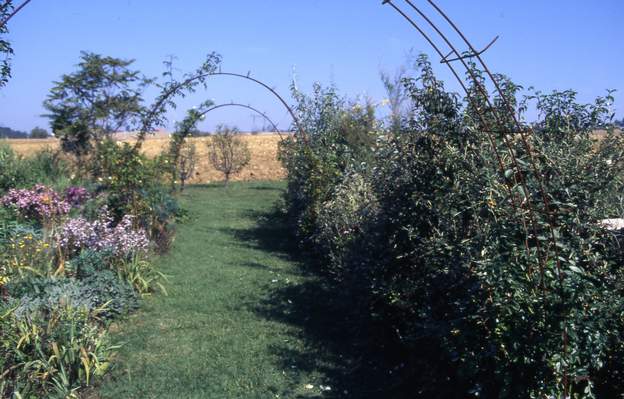 1997 ouest Au centre et à l'ouest on commence une allée de rosiers grimpants, soutenus par des fers à béton. En fait, cette photo correspond à une zone comprise entre le...