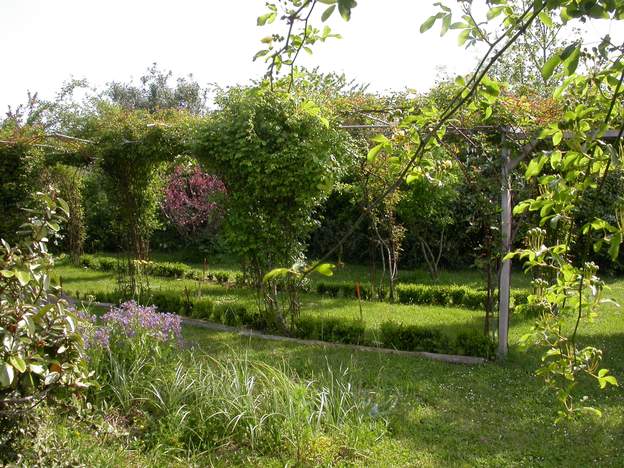 2006 04 Après avoir refait les arceaux, on a planté une série de petits buis qui délimitent mieux l'allée. Une interprétation très libre de la roseraie classique (avec...