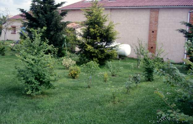 2001 05 Devant la première cuve à gaz, on voit les deux grands conifères qui ne surviront pas à la sécheresse torride de 2003. Avec un premier essai d'arbustes qui ne...