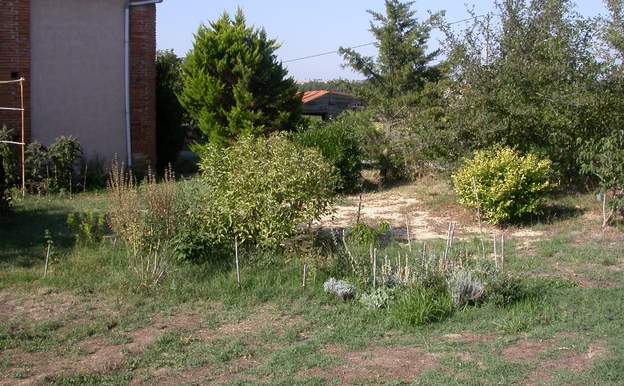 2006 08 Au mois d'août, on voit la nouvelle plate bande, que l'on arrose encore pour que les plantes prennent leur place. Ce sont surtout des plantes de sécheresse....