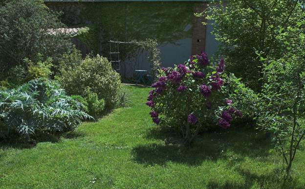 2008 04 On voit ici un gand cardon et un lilas foncé. Ils prennent bien. C'est ce genre de plante qui s'en tire dans ce coin.