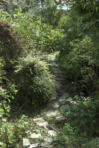 2007 09 0 Le chemin entre le massif le long du mur et le massif rose lui-même est bien encombré ! Si vous comparez avec la photo de 2004, la différence est énorme, là on...