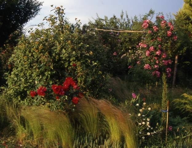 2002 05 La marseillaise toujours en fleurs, american pilar dans l'allée