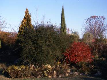 La rocaille centrale