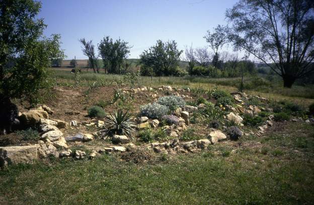 1987 07 3 La rocaille s'étend petit à petit. Entre le yucca et l'amandier, un escalier. ça ne va pas du tout, on le refera autrement. En fait c'est seulement plusieurs...